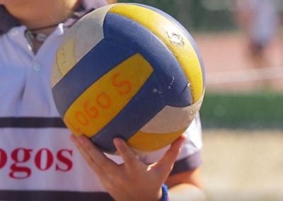 Voleibol