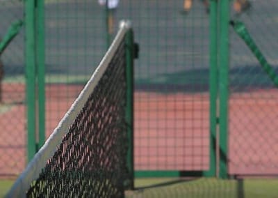 Tenis