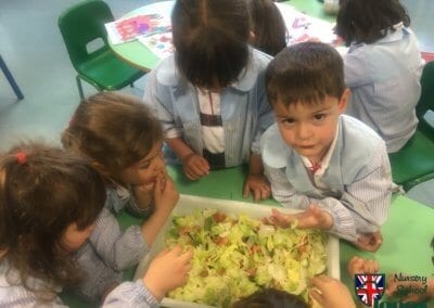 alimentación en la etapa de crecimiento